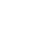 Immersive Experience