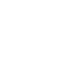 Immersive Experience